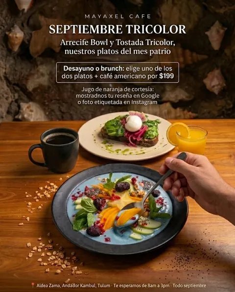 Promoción Septiembre Tricolor de Mayaxel Café: Arrecife Bowl o Tostada Tricolor más café americano por $199