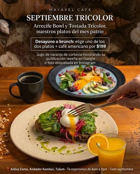 Promoción Septiembre Tricolor de Mayaxel Café: Arrecife Bowl o Tostada Tricolor más café americano por $199